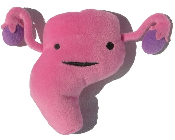 Uterus womb Fallopian tubes toy doll Uterus womb Fallopian tubes toy doll